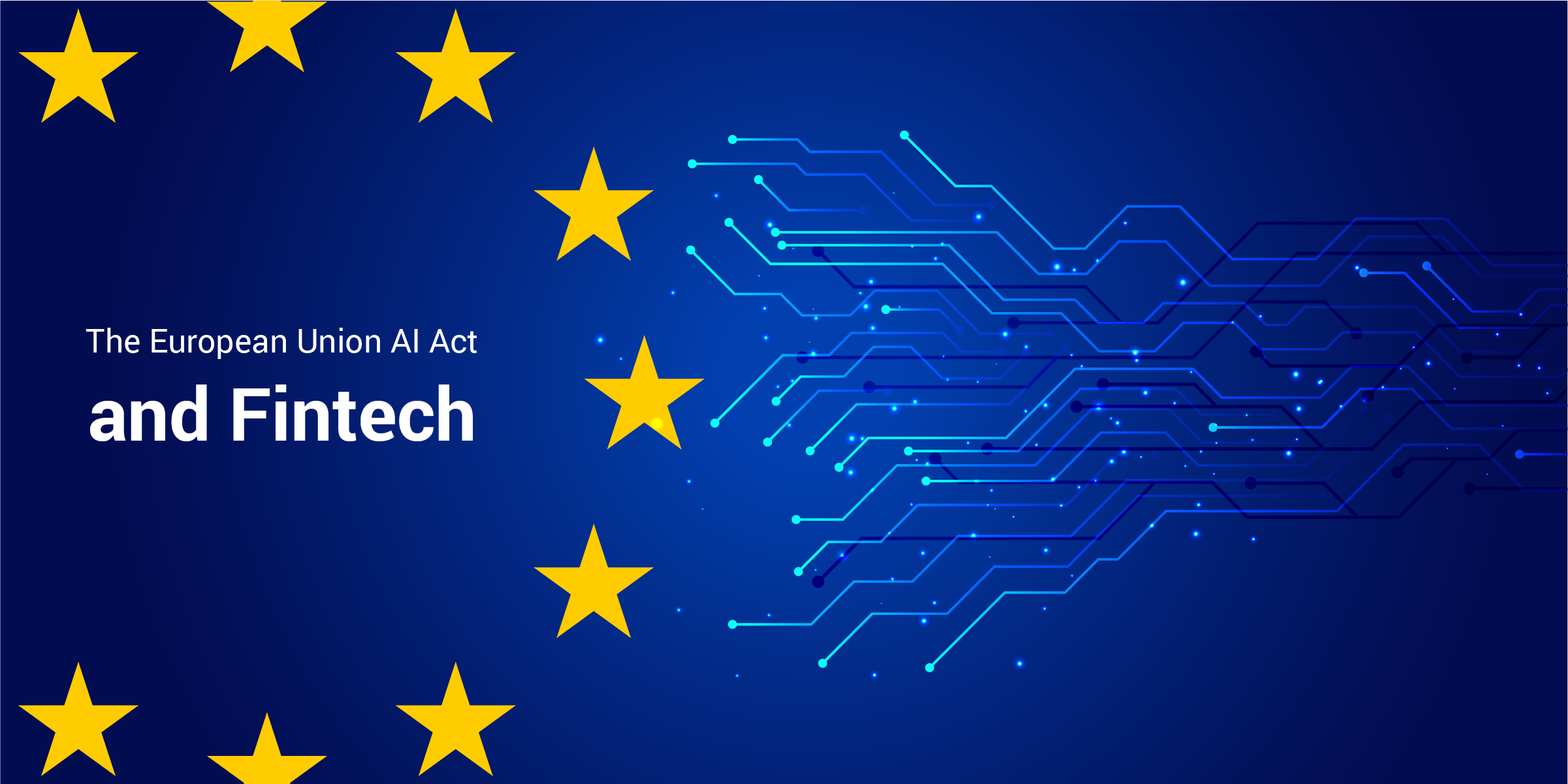 The European Union AI Act and Fintech
